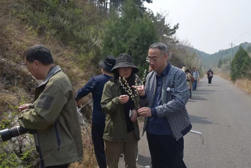 【时讯动态】传神农薪火，弘国医精髓---中草药野外调研活动（一）