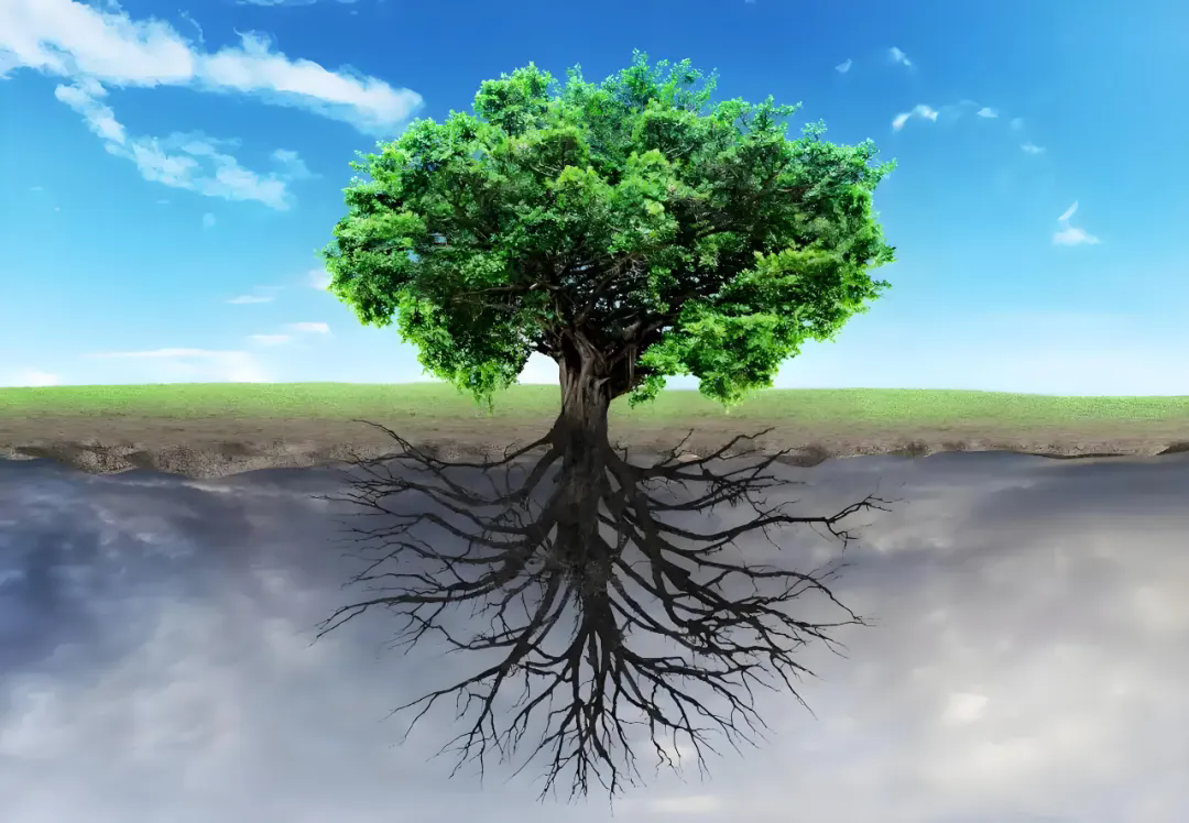 【健康科普】伤口愈合新理念--湿性愈合，你知道多少？